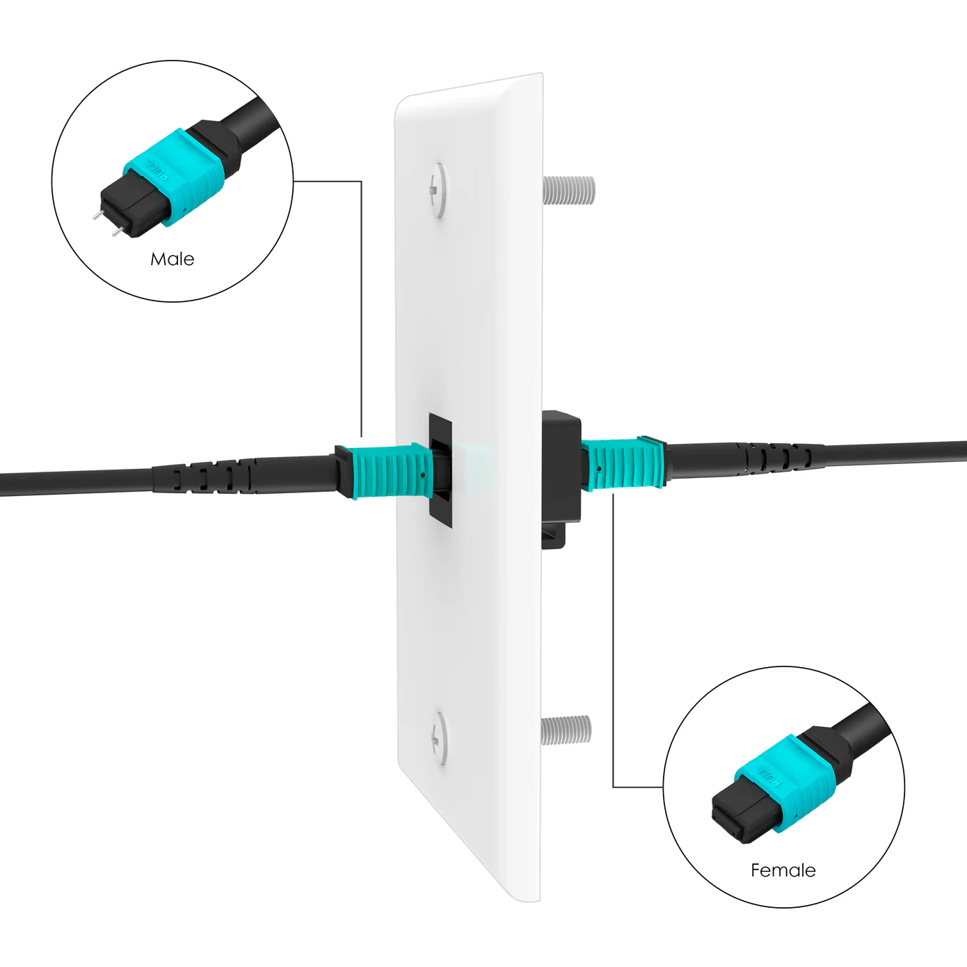 RUIPRO Keystone Wall Plate with MPO Coupler - Image 4